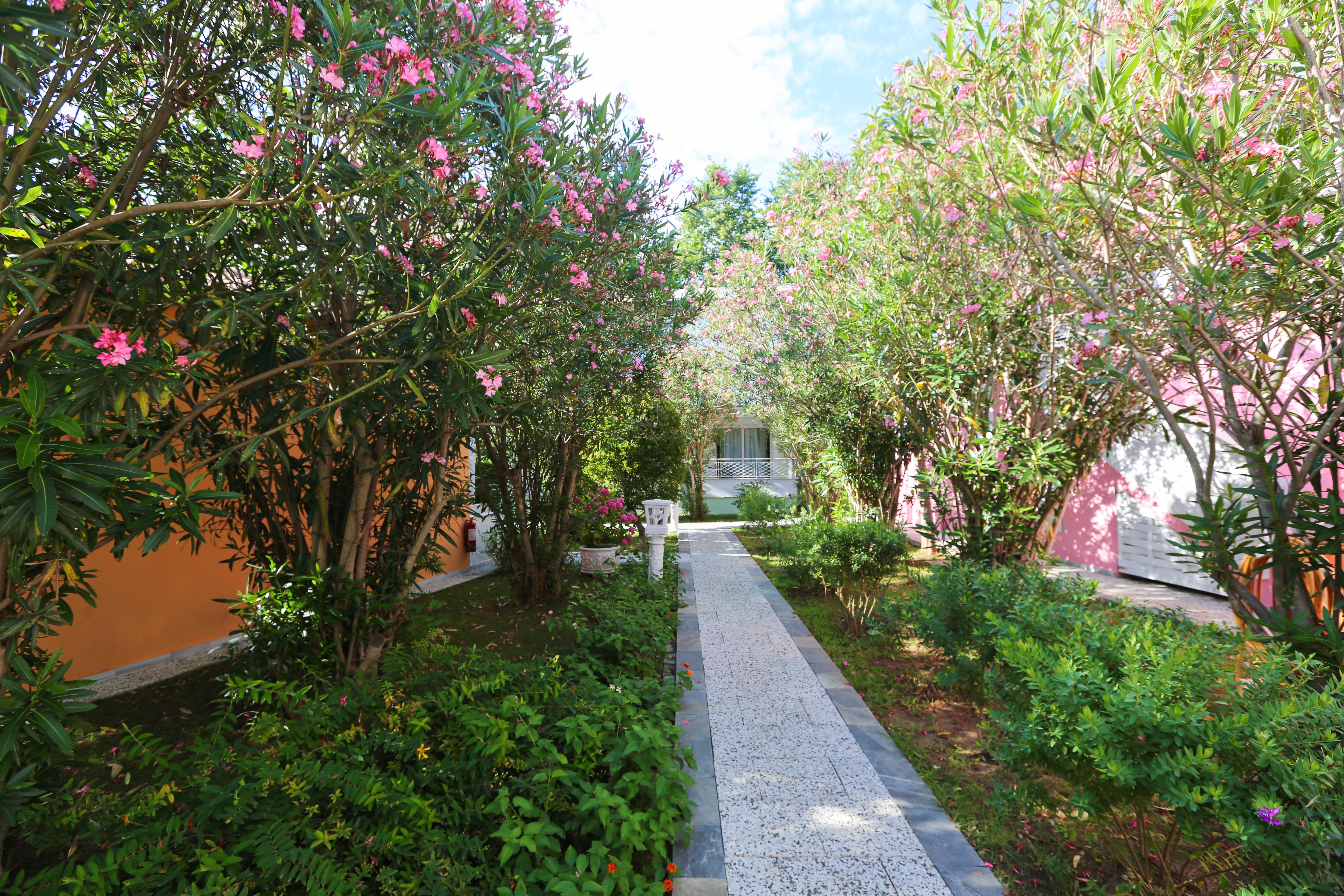 Mandraki Village Boutique Hotel Koukounaries Bagian luar foto